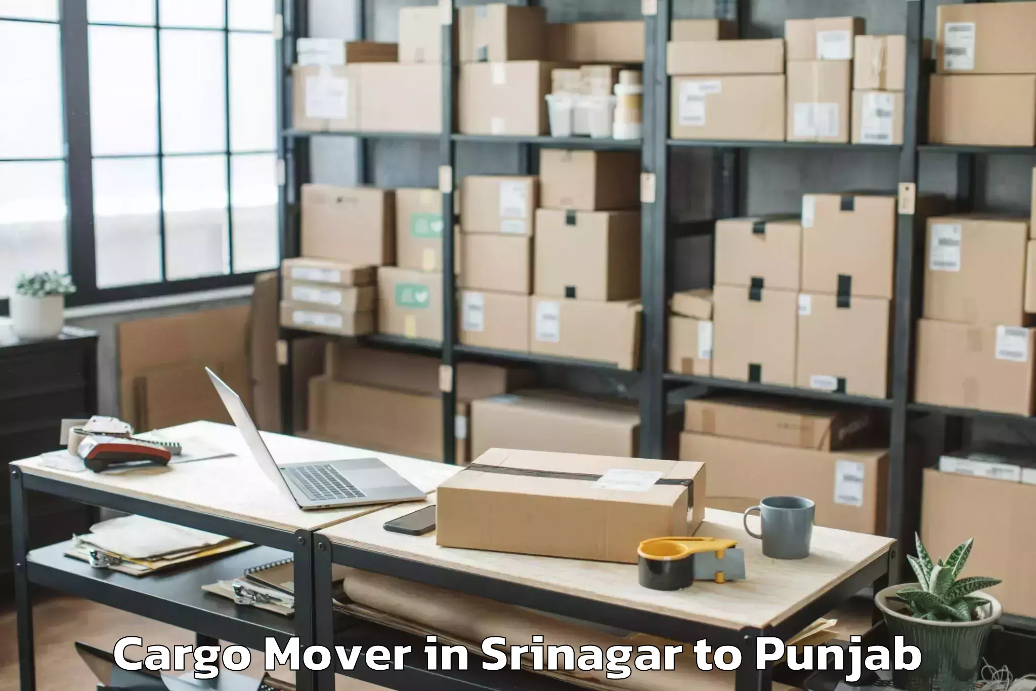 Book Srinagar to Jalandhar Cargo Mover Online